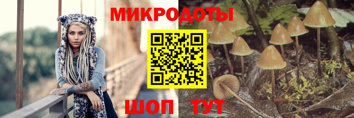 Псилоцибиновые грибы GOLDEN TEACHER  Галлюциногенные грибы Psilocybine cubensis  Вход с VPN  Шелехов 
